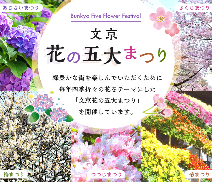 文京花の五大まつり 緑豊かな街を楽しんでいただくために毎年四季折々の花をテーマにした「文京花の五大まつり」を開催しています。