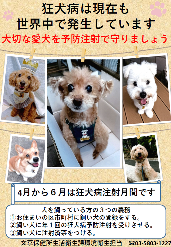 狂犬病啓発