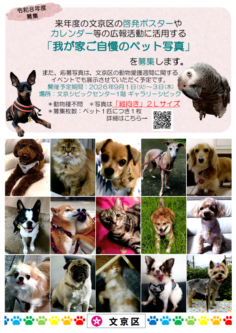 チラシ表