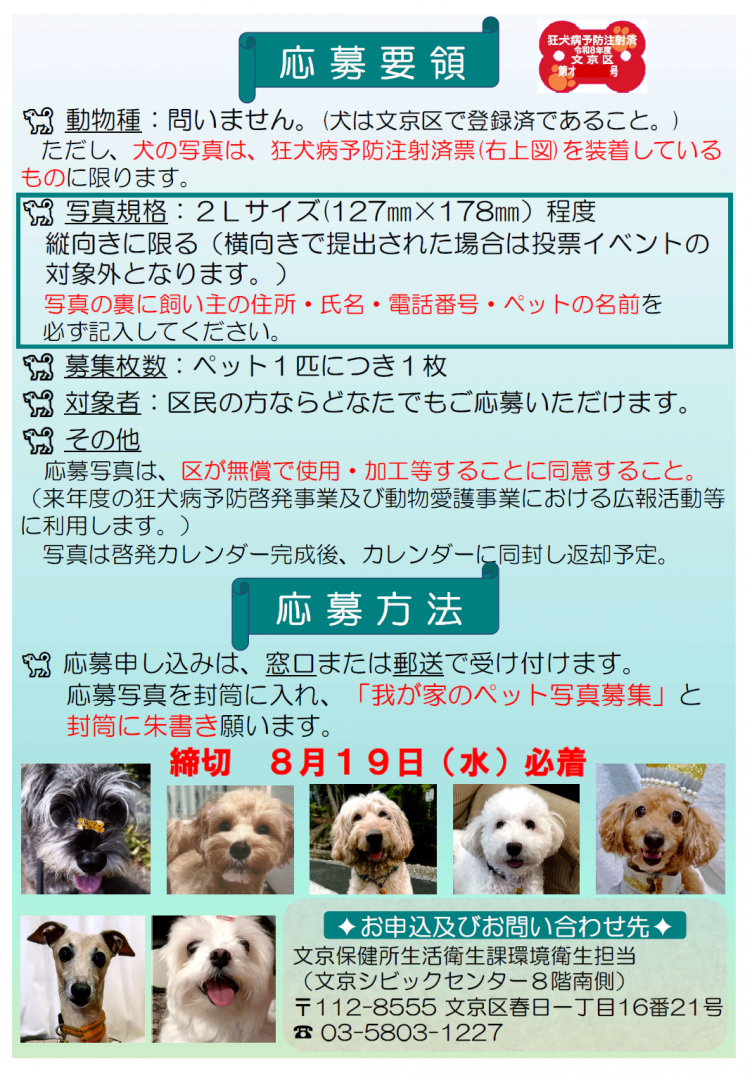 チラシ裏