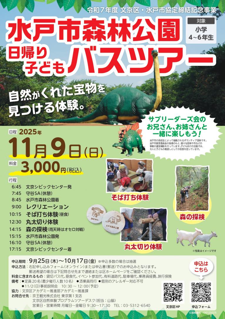 水戸市ちらし