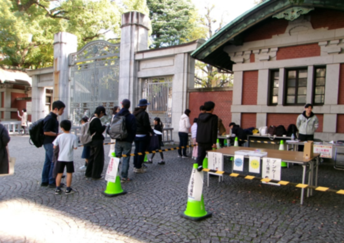 令和7年度木のクイズラリーin東大画像1