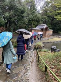 小石川植物園に移動中の様子