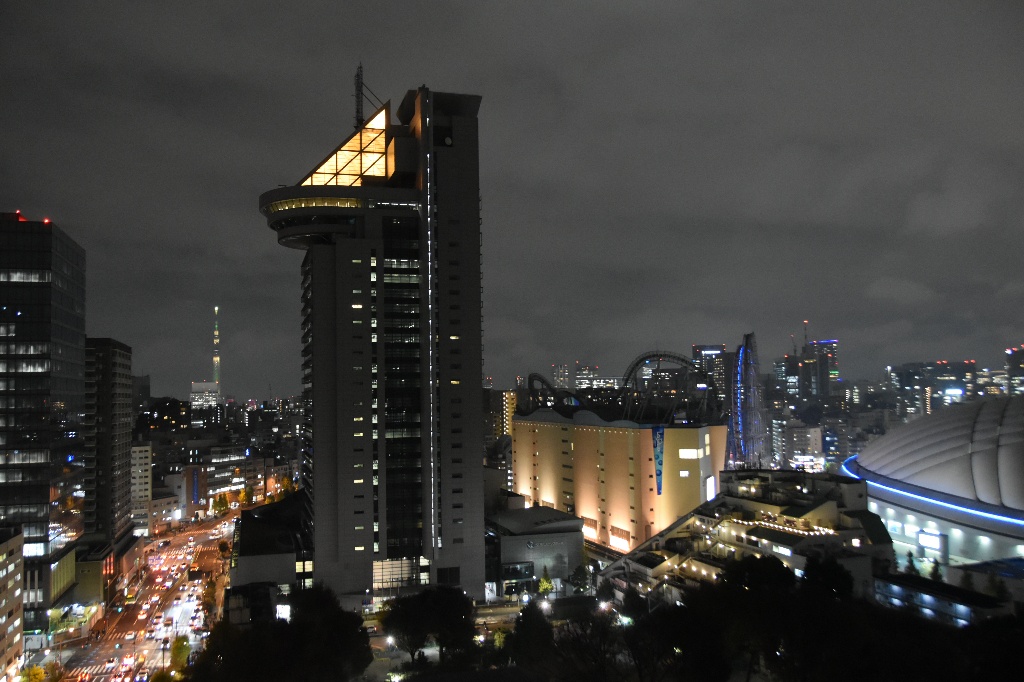 ライトアップの様子