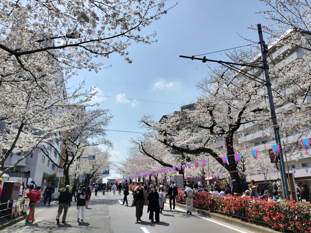 さくらまつりの様子