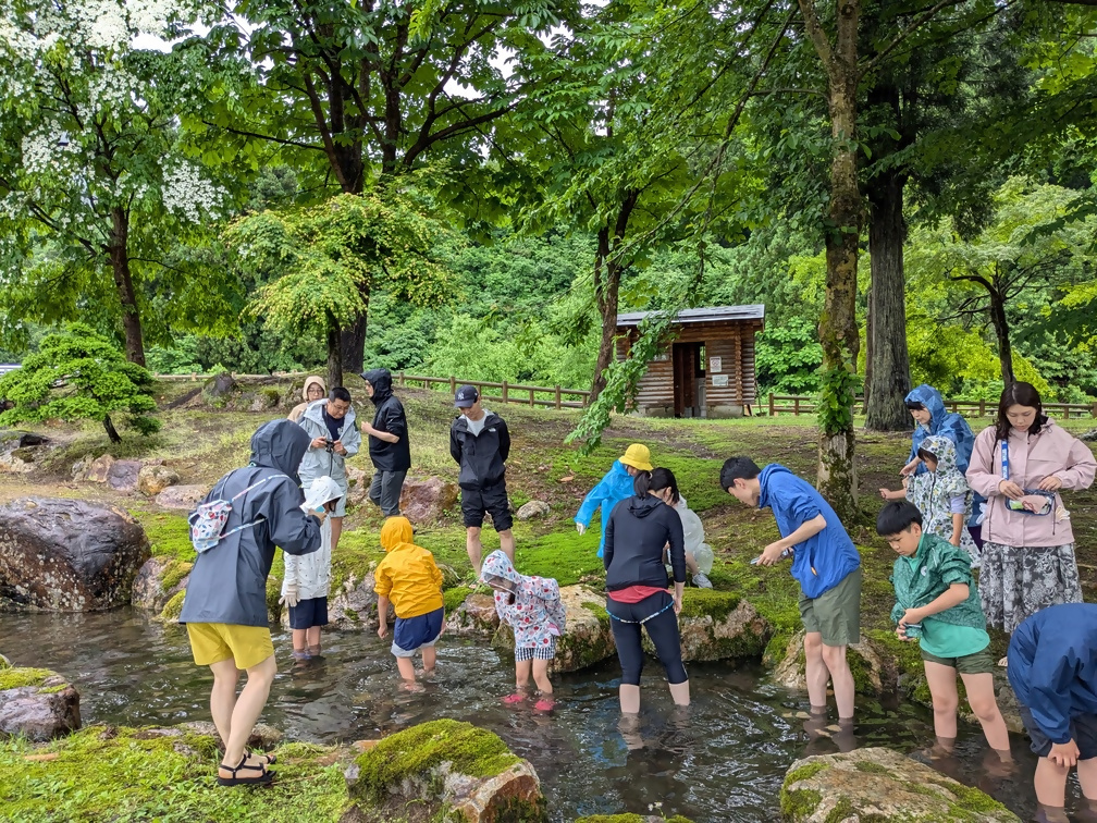 写真：魚つかみ取りの様子