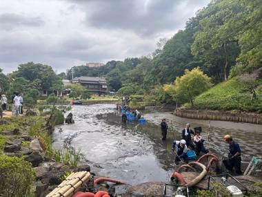 肥後細川庭園_フィルムコミッション