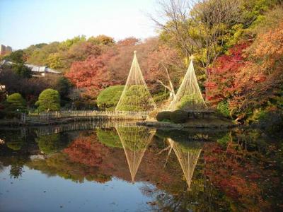 新江戸川公園の写真