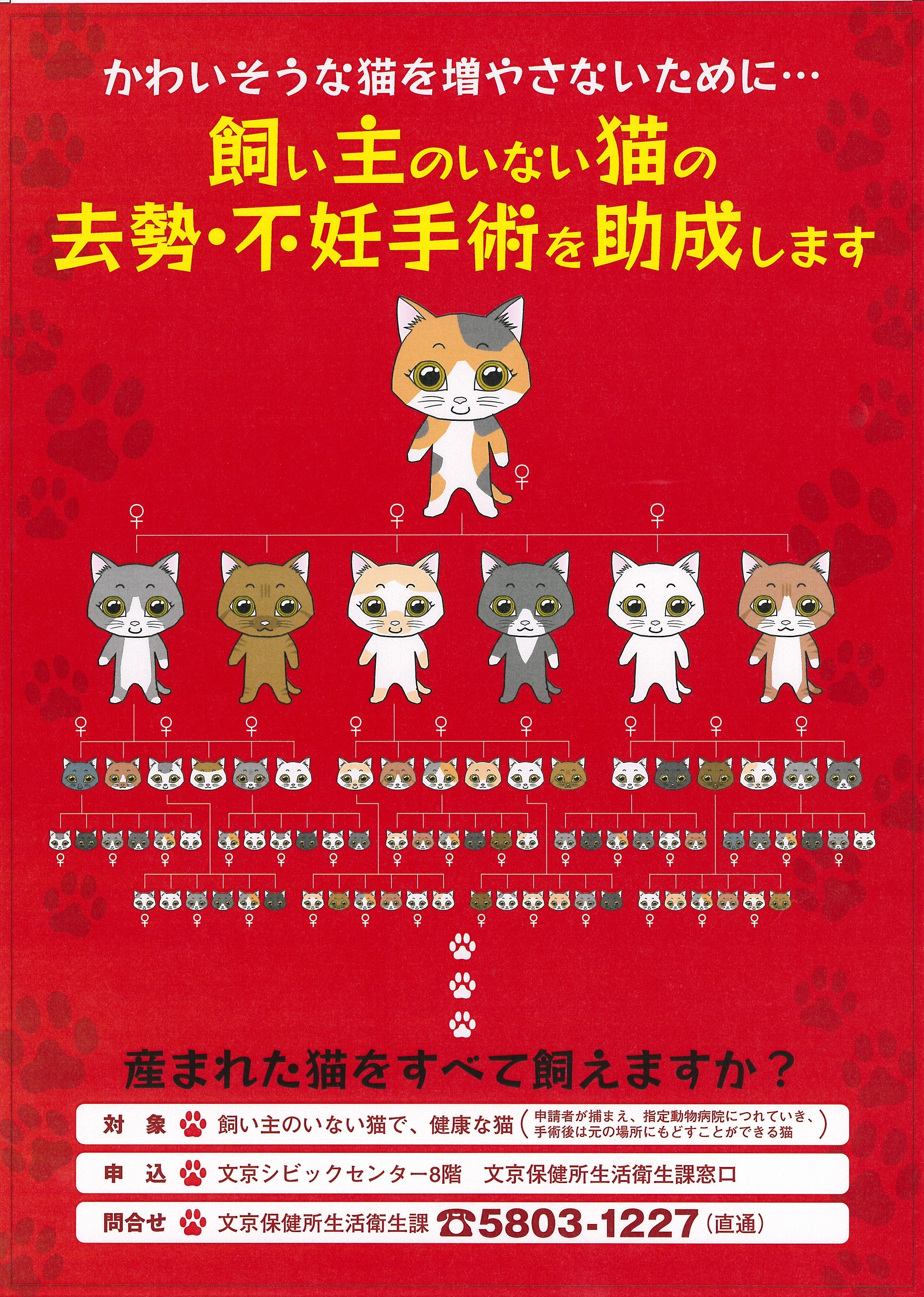 文京区猫助成事業ポスター(産まれた猫をすべて飼えますか？)