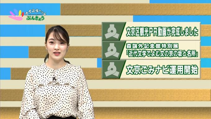 ナイスキャッチぶんきょう画像