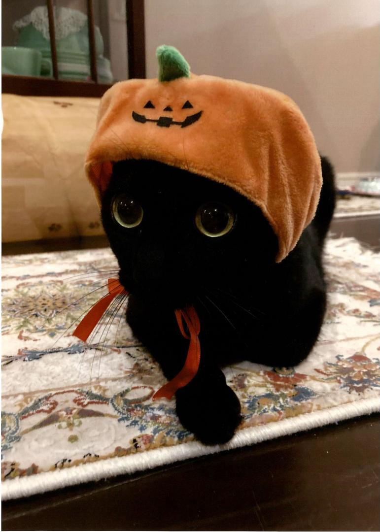 ジョー