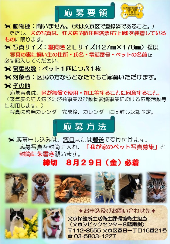 募集チラシうら