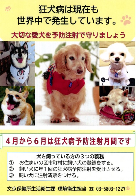 狂犬病チラシ