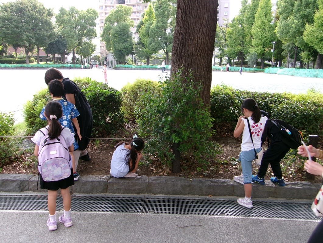 令和7年度自然散策会4