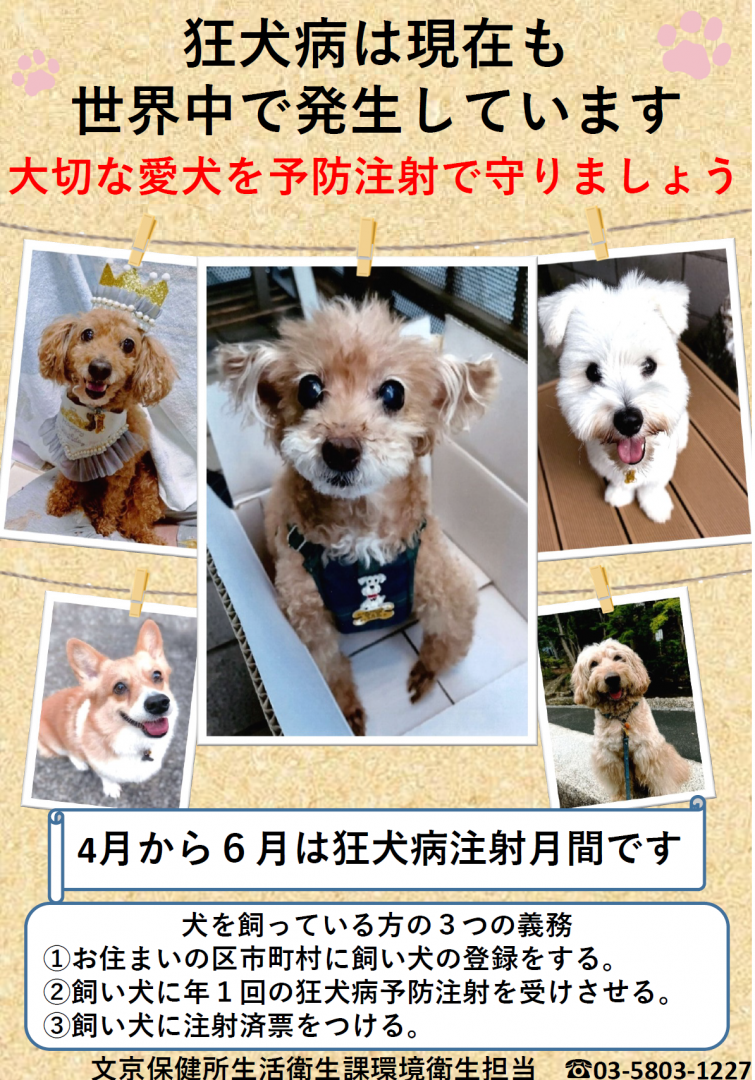 狂犬病注射ポスター2026