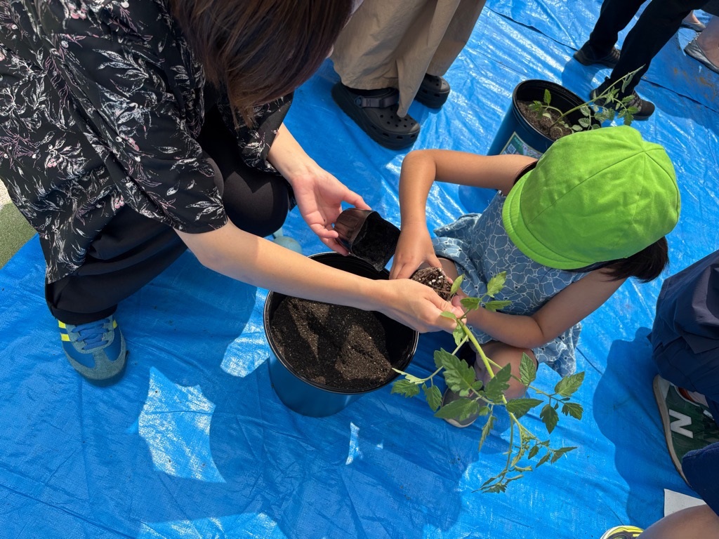 R7玉名トマト根津幼稚園