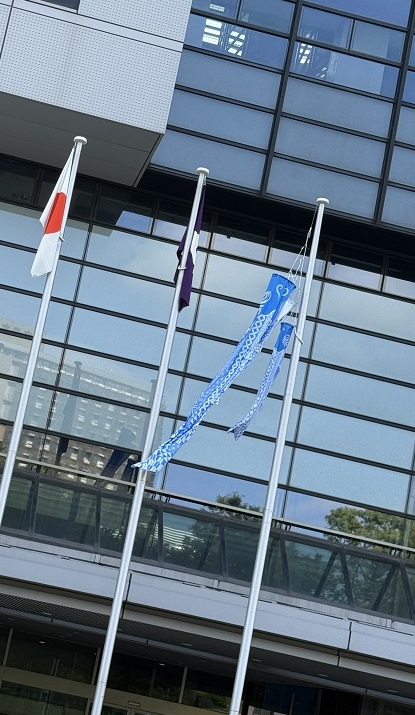 ブルーこいのぼり