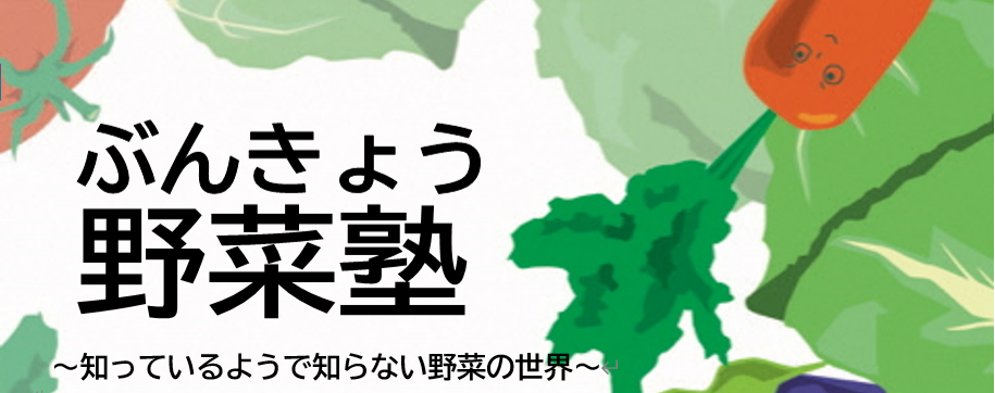 野菜塾top