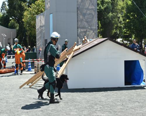 警備犬訓練