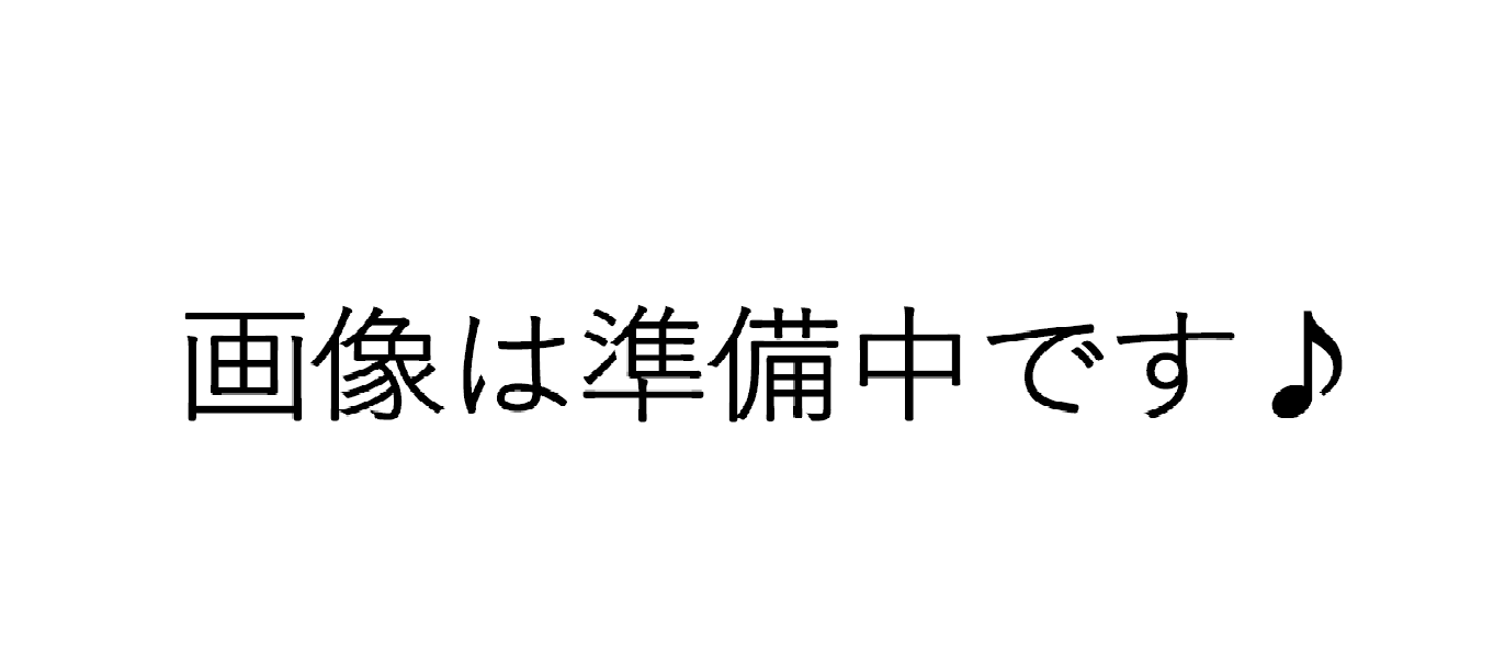画像は準備中です