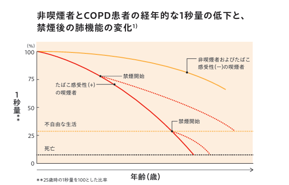 非喫煙者とCOPD患者の経年変化