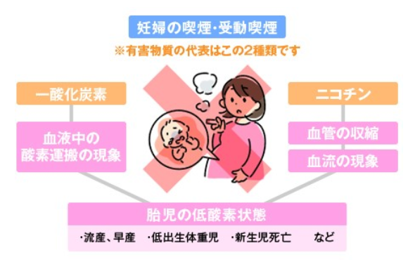 喫煙による胎児・赤ちゃんへの健康影響