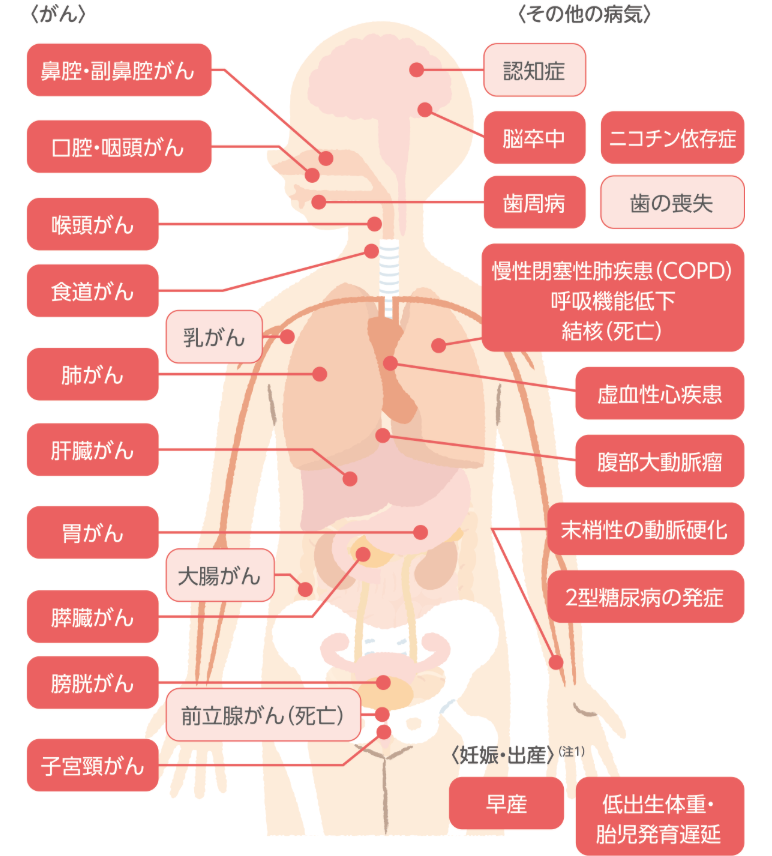 たばこが関係する主な病気