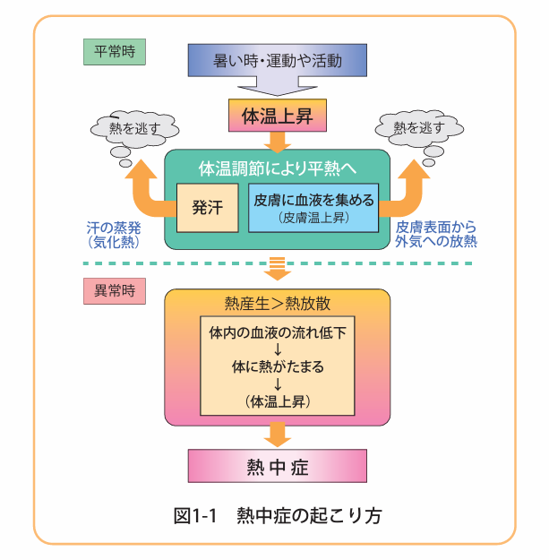 熱中症の起こり方