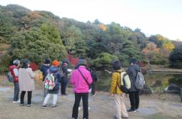日本庭園内の松の種類について説明を受ける様子