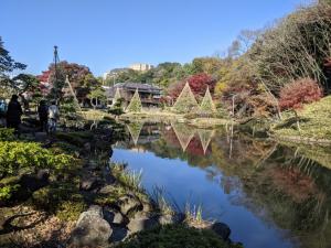 肥後細川庭園の風景