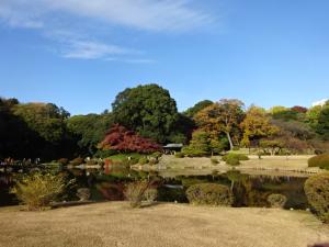 日本庭園の風景