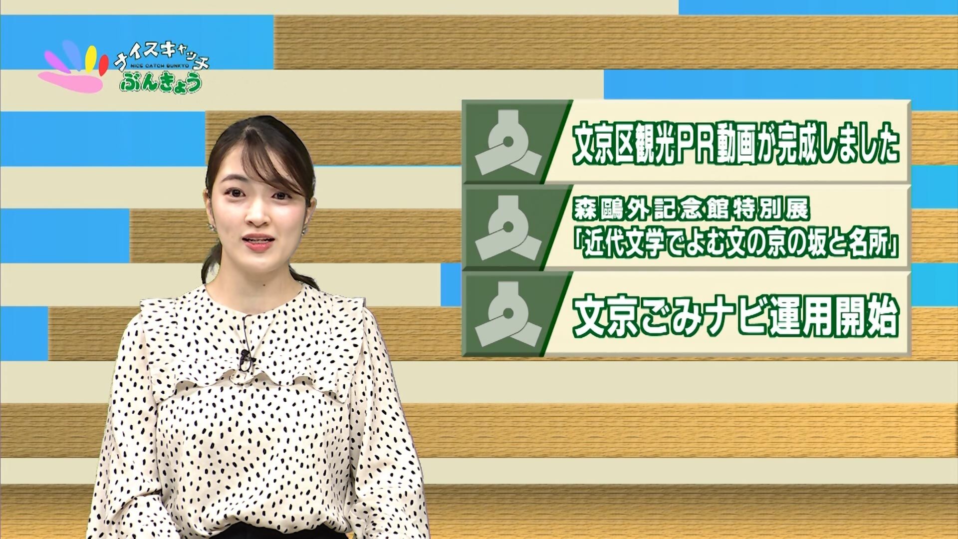 ナイスキャッチぶんきょうの画像