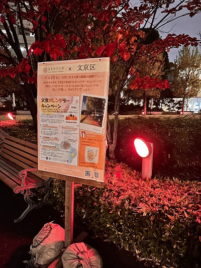 日本女子大学ライトアップ２