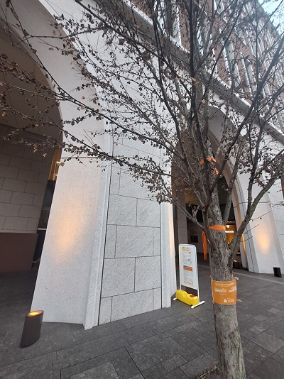 中央大学茗荷谷キャンパス４