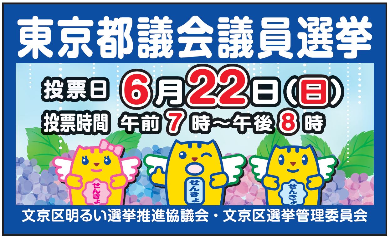 都議会議員選挙画像