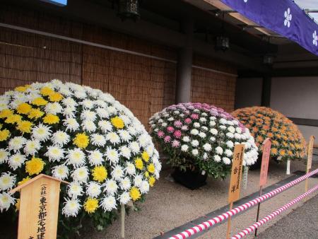 ホーム | 文京区