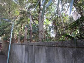和敬塾の塀の鉄条網