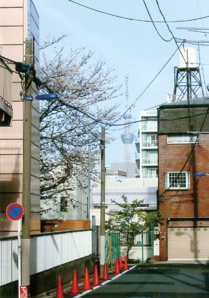 画像：東京スカイツリーを望む