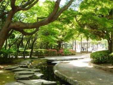 武蔵野雑木林をイメージした庭園の写真